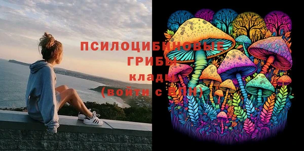 амфетамин Гвардейск