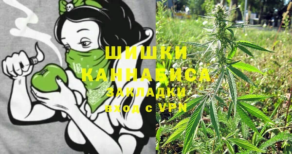 прущие грибы Армянск